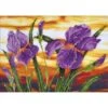 Iris Sunset Diamond Art Kit -Qbpn 0001673513 tinified