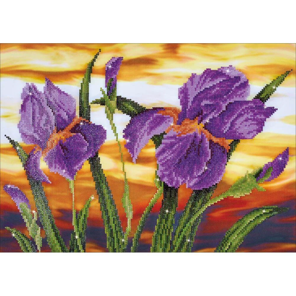 Iris Sunset Diamond Art Kit 3 Iris Sunset Diamond Art Kit