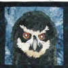 The Eyes Have It - Black Owl Downloadable Pattern -Qbpn 1 600x600 1