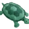 Turtle -Qbpn 19476 d52706cd 51ea 4202 8180 1c81f310ed16