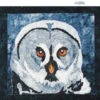The Eyes Have It - Great Gray Owl Downloadable Pattern 2 The Eyes Have It - Great Gray Owl Downloadable Pattern -Qbpn 3 600x600 1