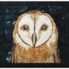 The Eyes Have It - Barn Owl Downloadable Pattern 2 The Eyes Have It - Barn Owl Downloadable Pattern -Qbpn 6 600x600 1
