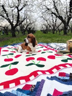 Cherry Delight Downloadable Pattern -Qbpn CherryDelightandWallypicnic