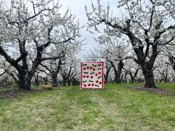 Cherry Delight Downloadable Pattern -Qbpn CherryDelightinorchardblossoms