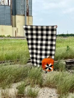 Cuddly Pumpkin Downloadable Pattern -Qbpn IMG 2101