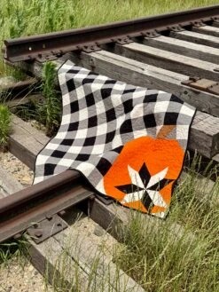 Cuddly Pumpkin Downloadable Pattern -Qbpn IMG 2117