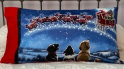 Pillowcases From Panels Christmas Pattern 19 Pillowcases From Panels Christmas Pattern -Qbpn IMG 3910 1 f5e0c463 80ed 4bce a82c 1bb7ca35ad7b