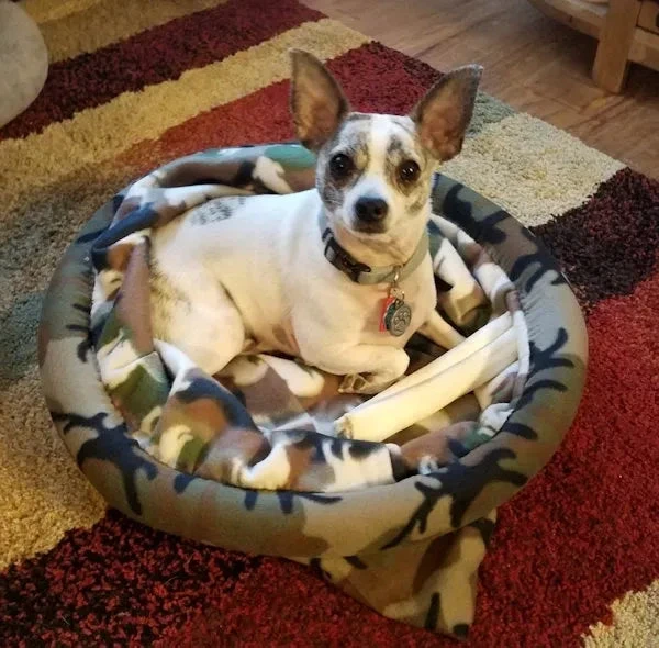 Reversible Nap Sack Downloadable Pattern 3 Reversible Nap Sack Downloadable Pattern