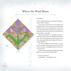 Farmer's Wife 1930's Sampler Quilt 8 Farmer's Wife 1930's Sampler Quilt -Qbpn T2131 7