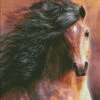 The Morgan Horse Cross Stitch By Laurie Prindle 2 The Morgan Horse Cross Stitch By Laurie Prindle -Qbpn The 20Morgan 20Horse 1