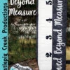 Loved Beyond Measure 2 Loved Beyond Measure -Qbpn WC1310