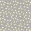 Twinkle Twinkle Gray Fabric -Qbpn fabric