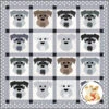 Dog Days, Schnauzer Downloadable Pattern 1 Dog Days, Schnauzer Downloadable Pattern -Qbpn fcp 079 1024x1024 2x ccb315e1 58e3 41ad a9da b2f21234ef82