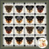 Dog Days, Rottweiler Downloadable Pattern 1 Dog Days, Rottweiler Downloadable Pattern -Qbpn fcp 093 1024x1024 2x ccf1f575 d65b 44ff 9107 5c38e729ae94