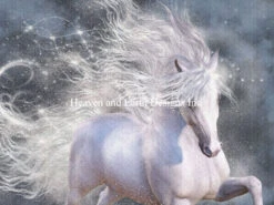 Stardust Cross Stitch By Laurie Prindle -Qbpn laura prindle stardust lpjpg.image .800x600