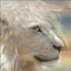Natures King Cross Stitch By Carol Cavalaris -Qbpn naturesking 1.jpg.image .550x550