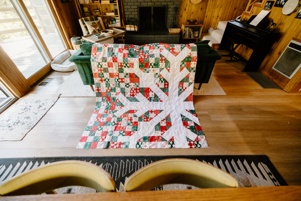 Qbpn -Qbpn riley blake alexis plunkett LR 5